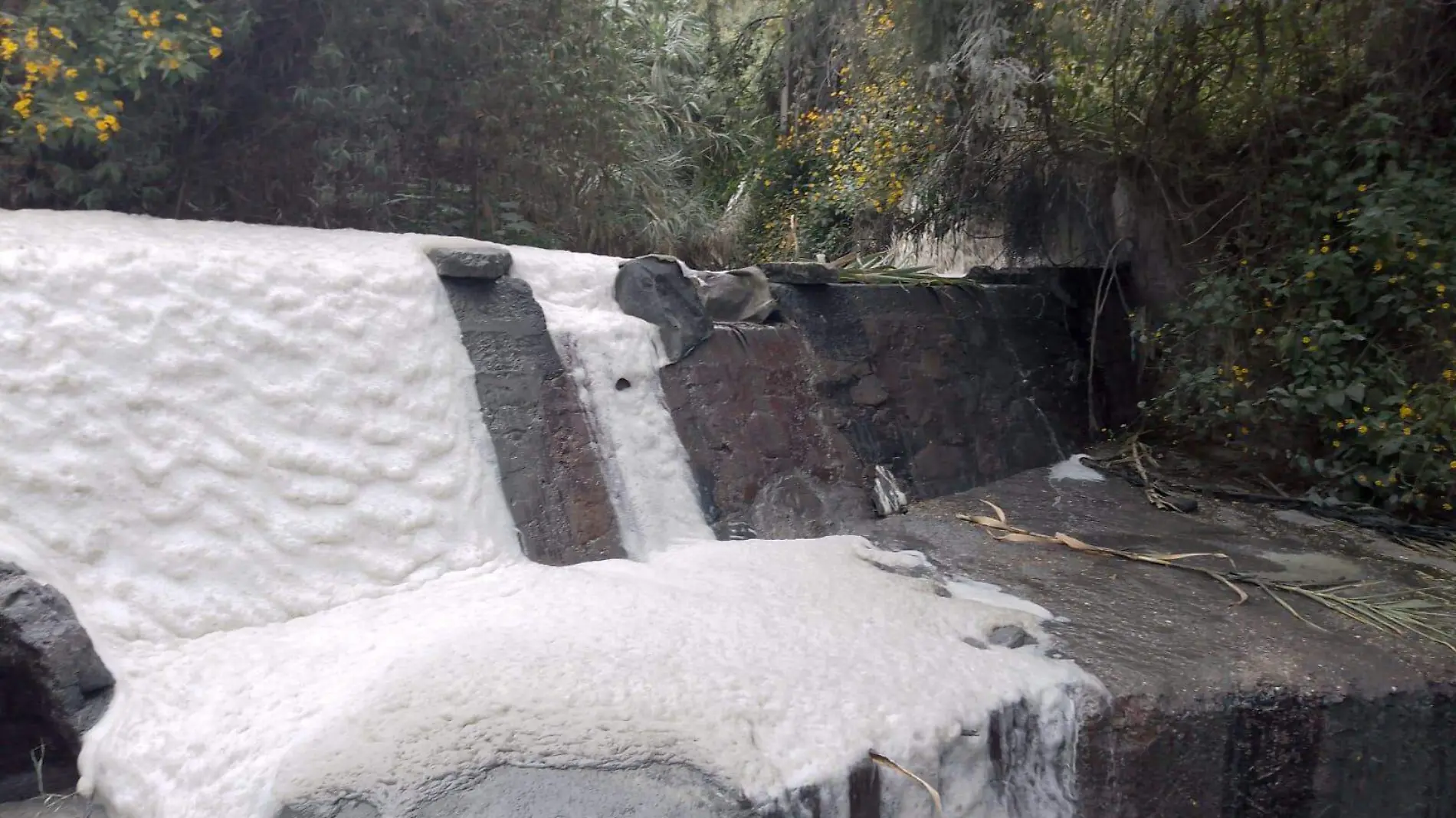 AGUA CONTAMINADA Ante la falta de tratadoras, arrojan sus descargas al dren desde hace años